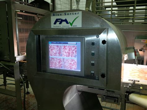 PLASTIC FRAGMENT INSPECTION - FM Vision