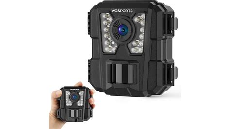 Camera Traps 的图像结果