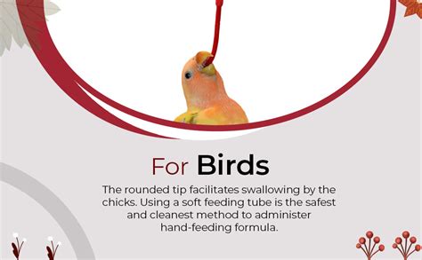 Psittacus Bird Hand Feeding Soft Tube 20 ml | Bird Hand Feeding Syringe ...
