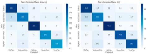 Automated Facial Pain Assessment Using Dual-Attention CNN with ...