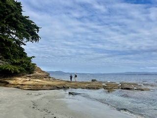 Image result for Machine Learning Project Report Sample Example O Format