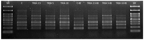 The Effect of the Stress-Signalling Mediator Triacontanol on ...