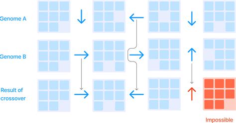 Image result for Puzzles On Genetic Search Algorithm