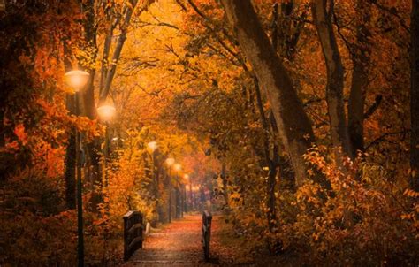 Wallpaper Park, lights, track, the bridge, Golden Autumn for mobile and ...