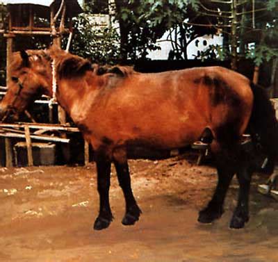Bali - JungleKey.in Image #300