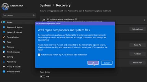 Image result for Fix Problems Using Windows Update 11