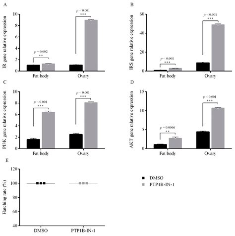 Antagonism between PTP1B and PTK Mediates Adults’ Insulin-Like ...