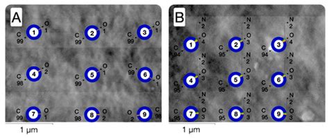 The Effect of Electro-Induced Multi-Gas Modification on Polymer ...