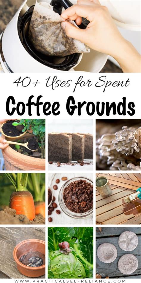 coffee grounds pictures