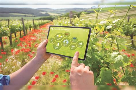 Cultivating Insights: Dive into Our Digital Agriculture Blog | NKOSH