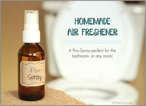 Diy Air Freshener For Bathroom / Homemade Air Freshener Tutorial ...