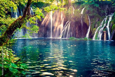 Water Spring Scenery 的图像结果