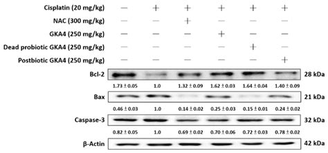 Dietary Probiotic Pediococcus acidilactici GKA4, Dead Probiotic GKA4 ...