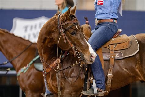 premier women's rodeo for the lover of rodez Background