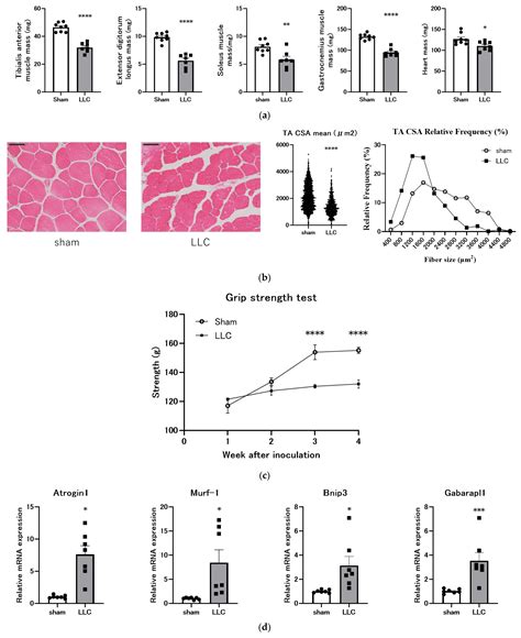 Characterization of a Cancer-Induced Bone Pain Model for Use as a Model ...