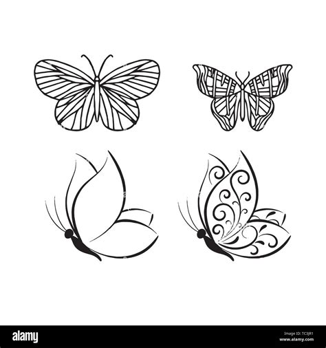Butterfly Drawing Outline