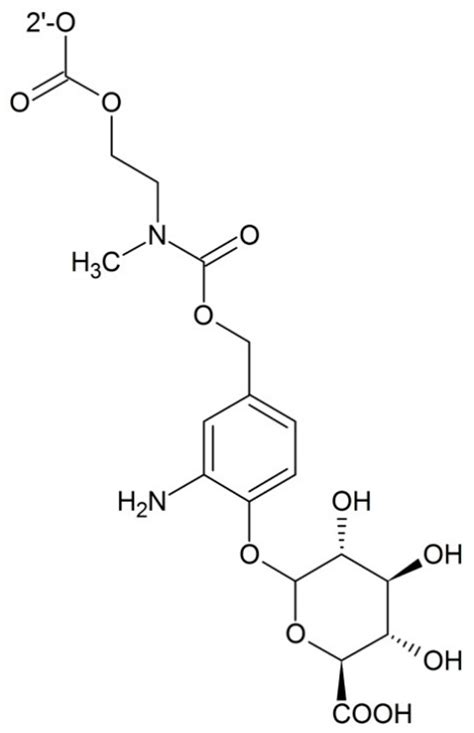 Prodrug Strategies for Paclitaxel