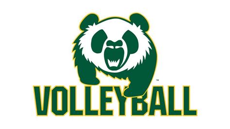 Pandas Volleyball New Years Classic - Day 2 (5PM,7PM), Saville ...