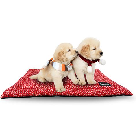 Tails Nation Mini Dog Canvas Mat for Dogs- Red