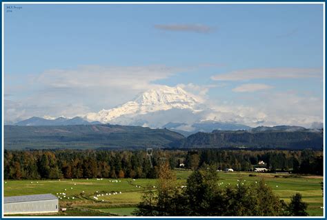 Elevation of th St E, Graham, WA, USA - Topographic Map - Altitude Map