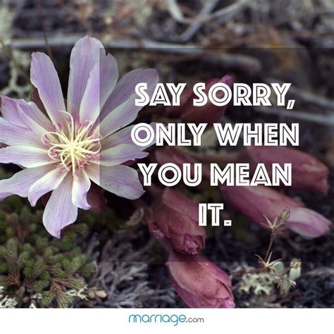 12 Best I Am Sorry Quotes - Inspirational I Am Sorry Quotes & Sayings