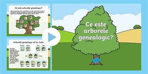 Arborele genealogic - Prezentare pentru copii | Twinkl RO