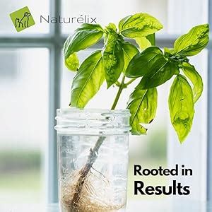 Buy Naturelix Detox Bath Natural Dog Shampoo Plus Conditioner-deters ...