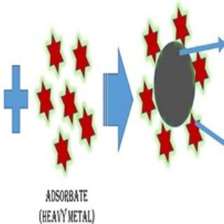Image result for Compression Graph of Heavy Metal Adsorption