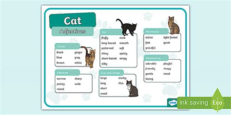 Cat Adjectives Word Mat - KS1 (teacher made) - Twinkl