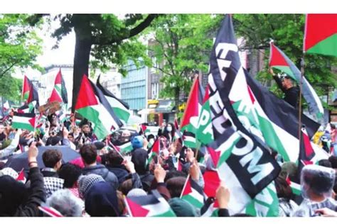 Support Local Chinese 的图像结果