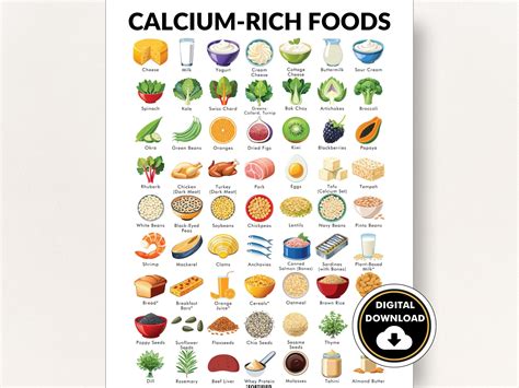 Calcium-rich Food List, List of Foods High in Calcium, Calcium Rich Foods That Are Non Dairy ...