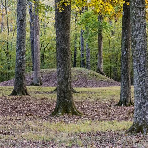 SHILOH INDIAN MOUNDS NATIONAL HISTORIC LANDMARK (2026) All You Need to ...