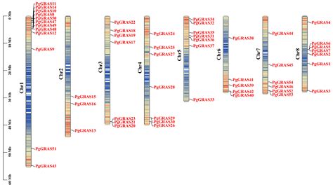 Comprehensive Genome-Wide Characterization of the GRAS Gene Family and ...