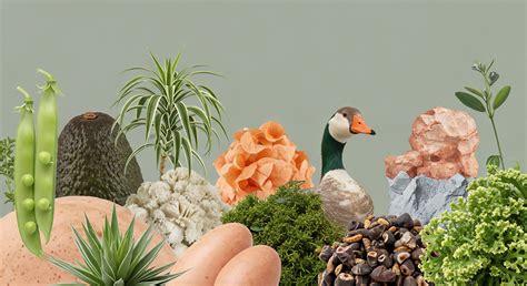 How Does Mixed-Use Zoning Support the Economic Viability of Local Food Retailers? → Learn