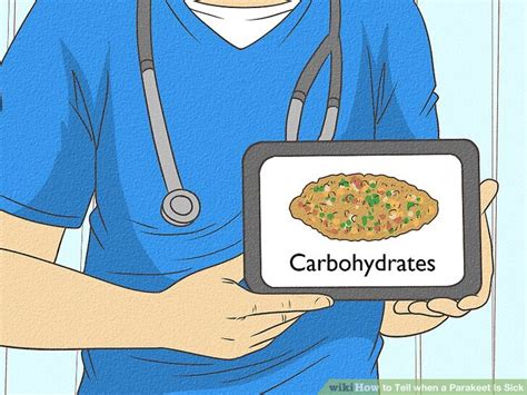 Sick Parakeet 的图像结果