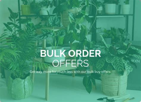 Bulk Orders – Idyl