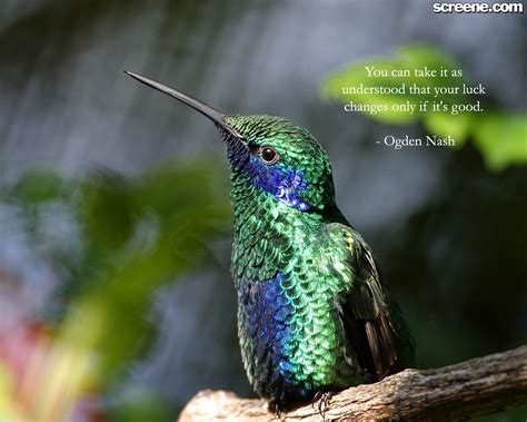 Quotes About Luck. QuotesGram