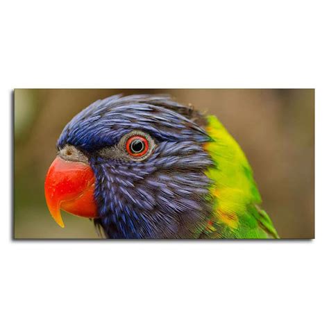 Colorful Parrot Premium Wall Painting – Decor Mantra