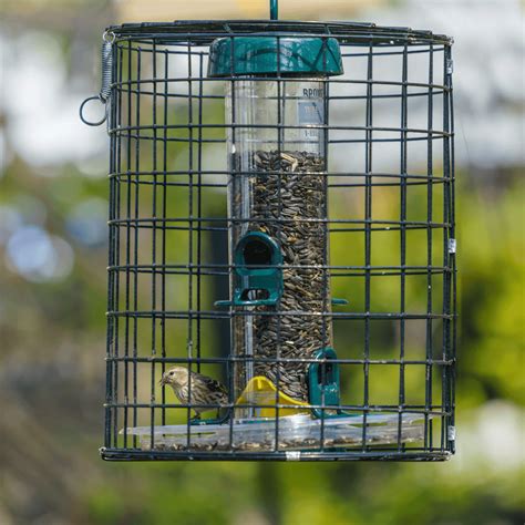 Brome Squirrel-Proof Tube Feeder with Cage & Seed Tray – Birds Choice