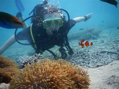 Pulau Redang Photos - Featured Images of Pulau Redang, Terengganu ...