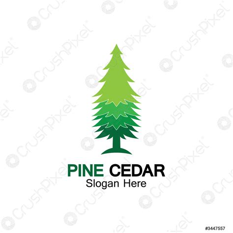 Image result for Cedar Tree Logo Tutorial
