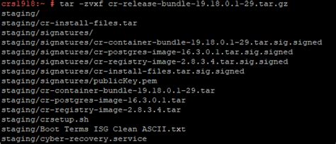 PowerEdge: How to Install Cyber Recovery on SuSe Linux 15 SP5 | Dell India