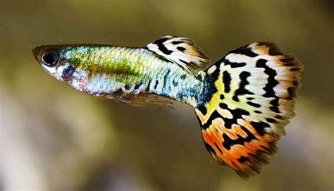 "Sampath Speaking" - the thoughts of an Insurer from Thiruvallikkeni ...