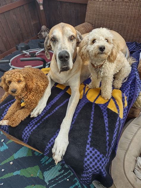 MISSOURI VALLEY VET - COMMERCE - Bismarck ND - Hours, Directions ...