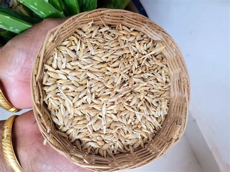 Pulses – Aranya India