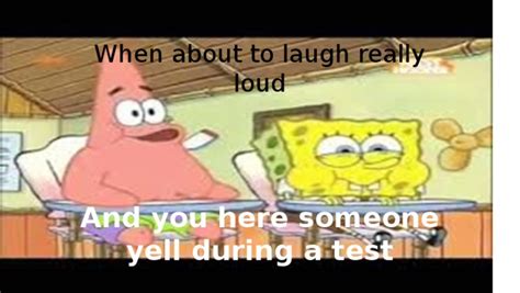 Image result for PDF File Meme