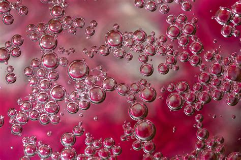 Safari Desktop 的图像结果