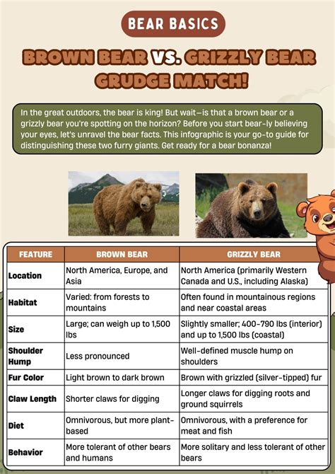 Confusing Animal Terms • 7ESL | Grizzly bear facts, Grizzly bear ...