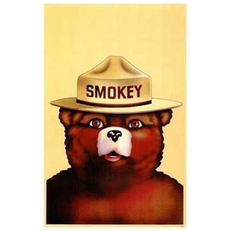 Pop Culture Graphics MOV143098 Smokey The Bear Movie Poster, 11 x 17 ...
