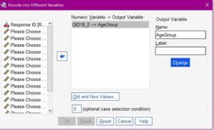 SPSS Recode Variables 的图像结果